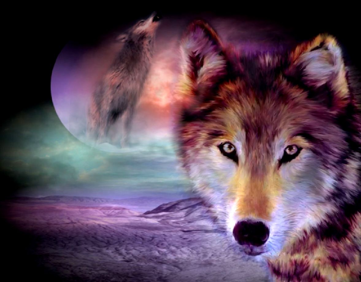 Wolf Background Wallpaper Px 1z23nm6 Picserio