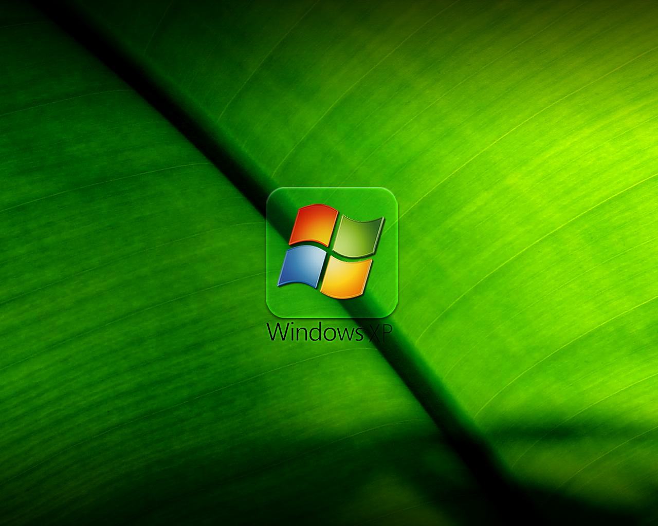 Themes Para Windows Xp Yapa