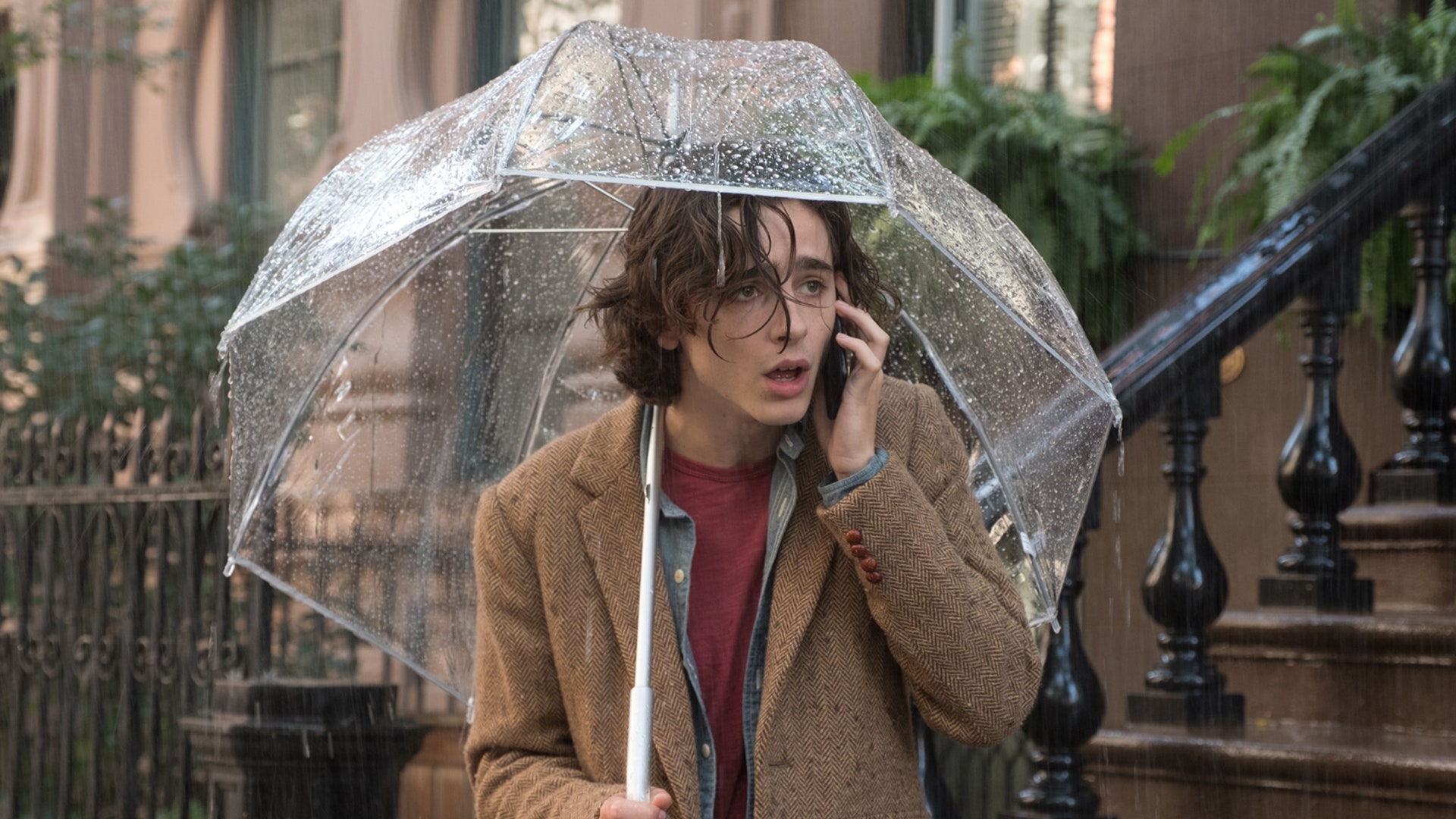 Timoth E Chalamet S A Rainy Day In New York Is Lesson Wet