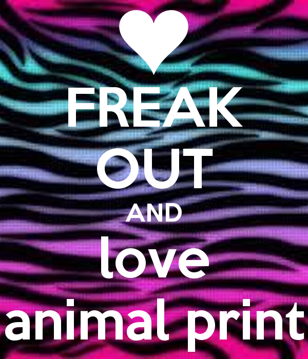 Colorful Zebra Print Desktop Wallpaper High Definition