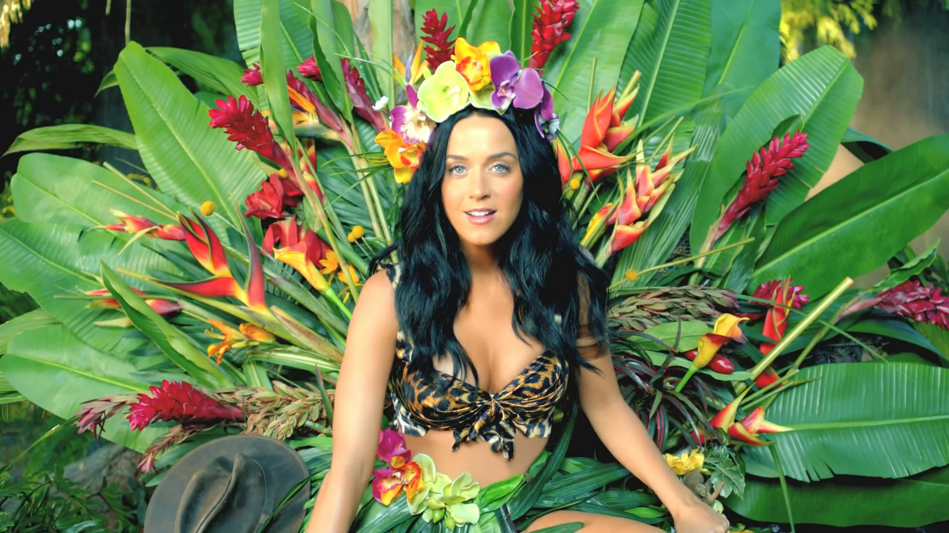46+] Katy Perry Roar Wallpaper - WallpaperSafari