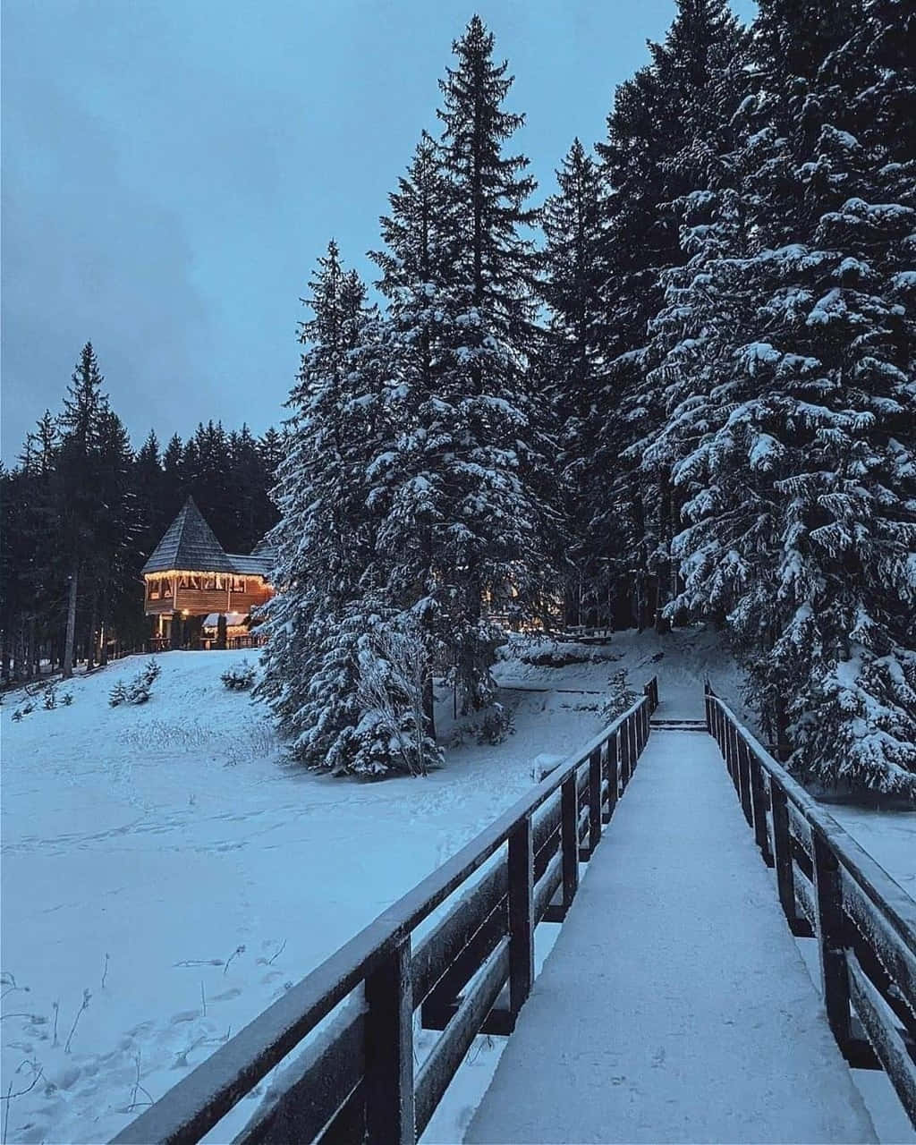 Cozy Winter Aesthetic Wallpaper