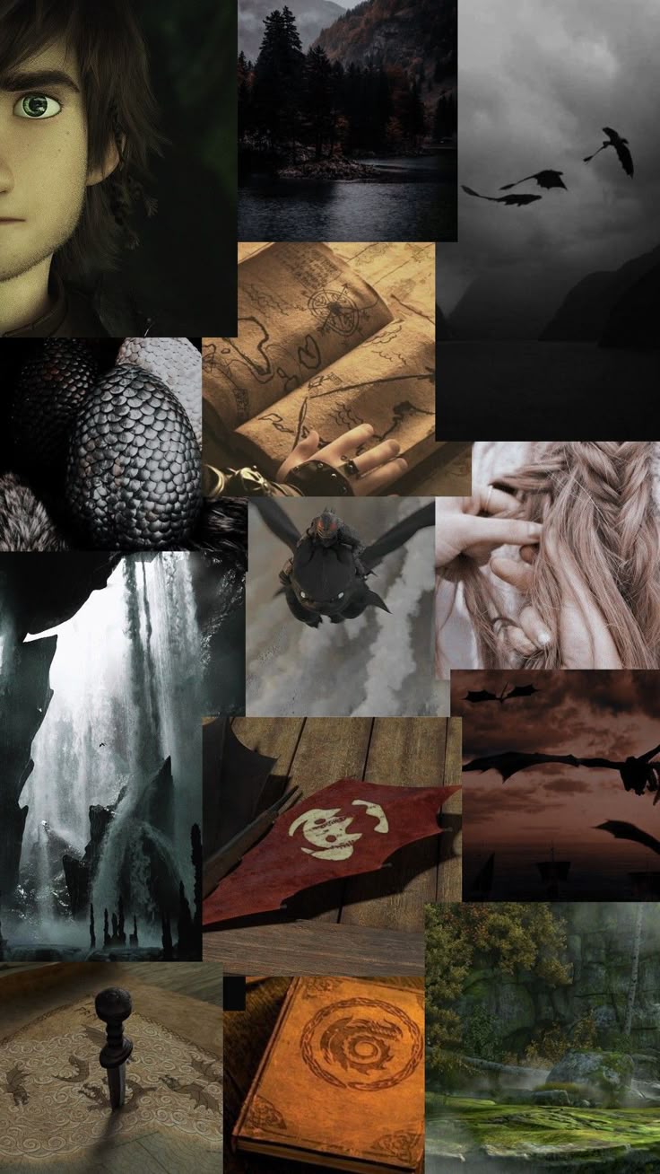 Train Your Dragon Wallpaper