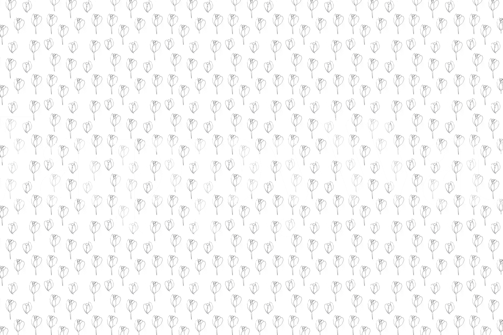 Black And White Floral Wallpaper For Modern Decor