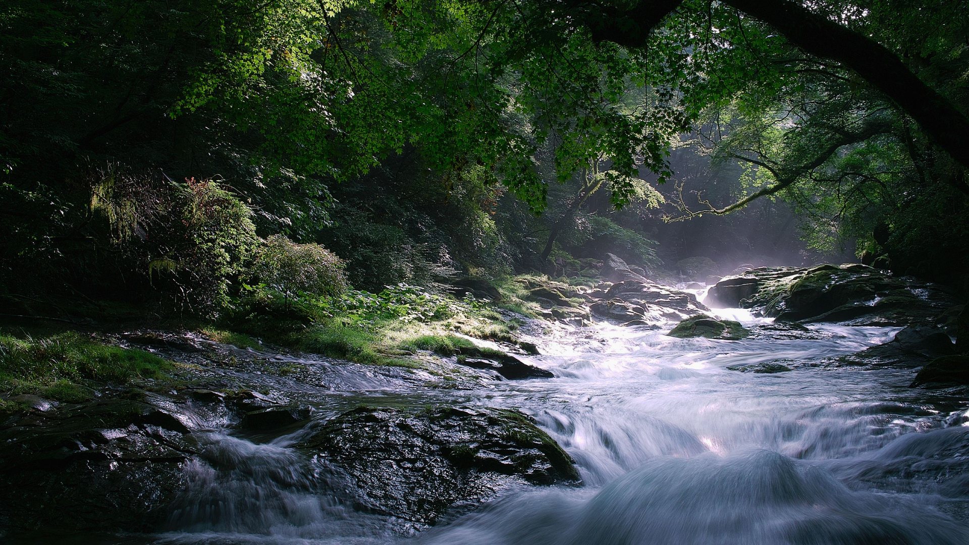 HD Beautiful Wallpaper