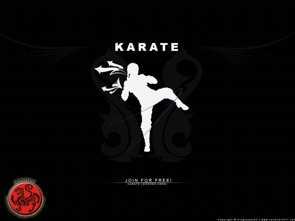 Karate Wallpaper by reboundmaste 1jpg