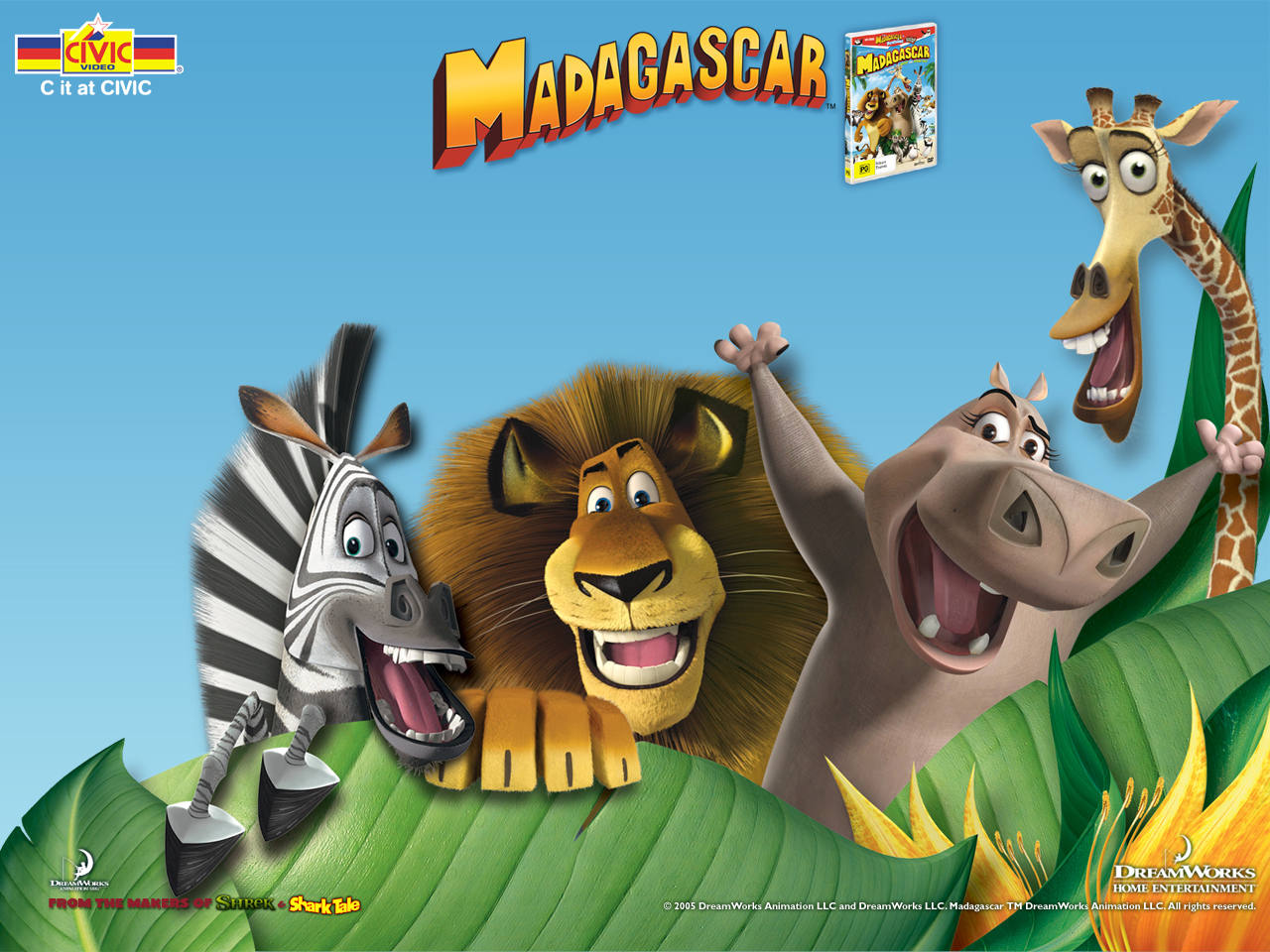 My Background Madagascar