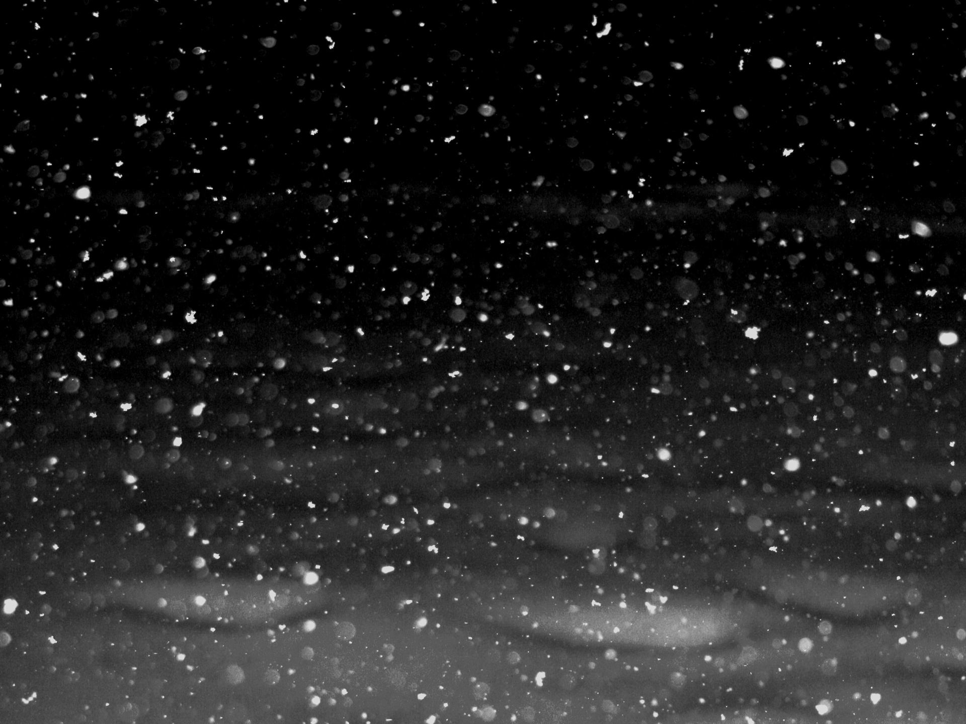 Falling Snow Wallpaper Animated Snowflakes Fal