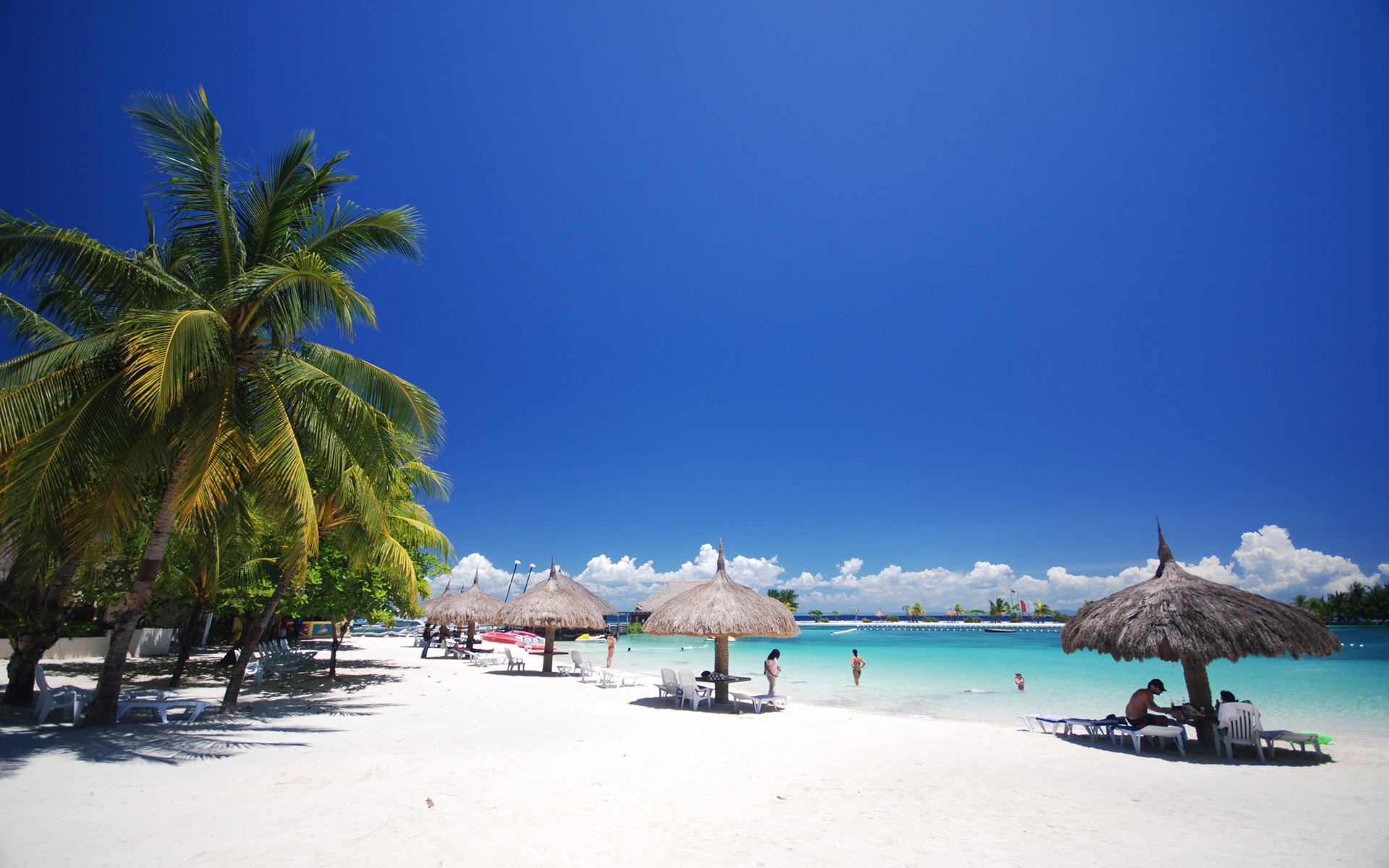 Wallpaper Cebu Philippines Beach Tropical Palm Trees Resort