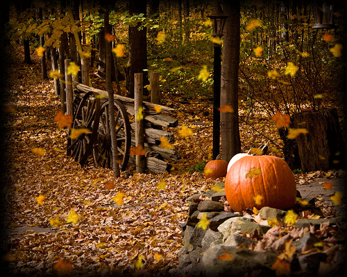 Fall Scenes With Pumpkins Pic2fly