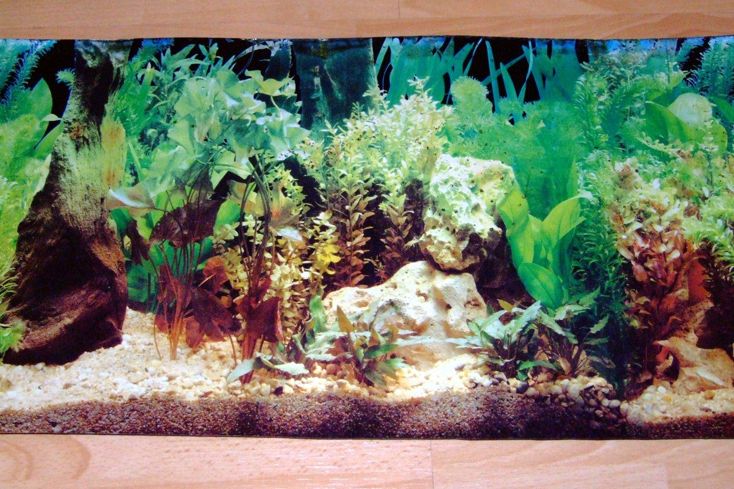 Fish Tank Background HD Desktop Wallpaper