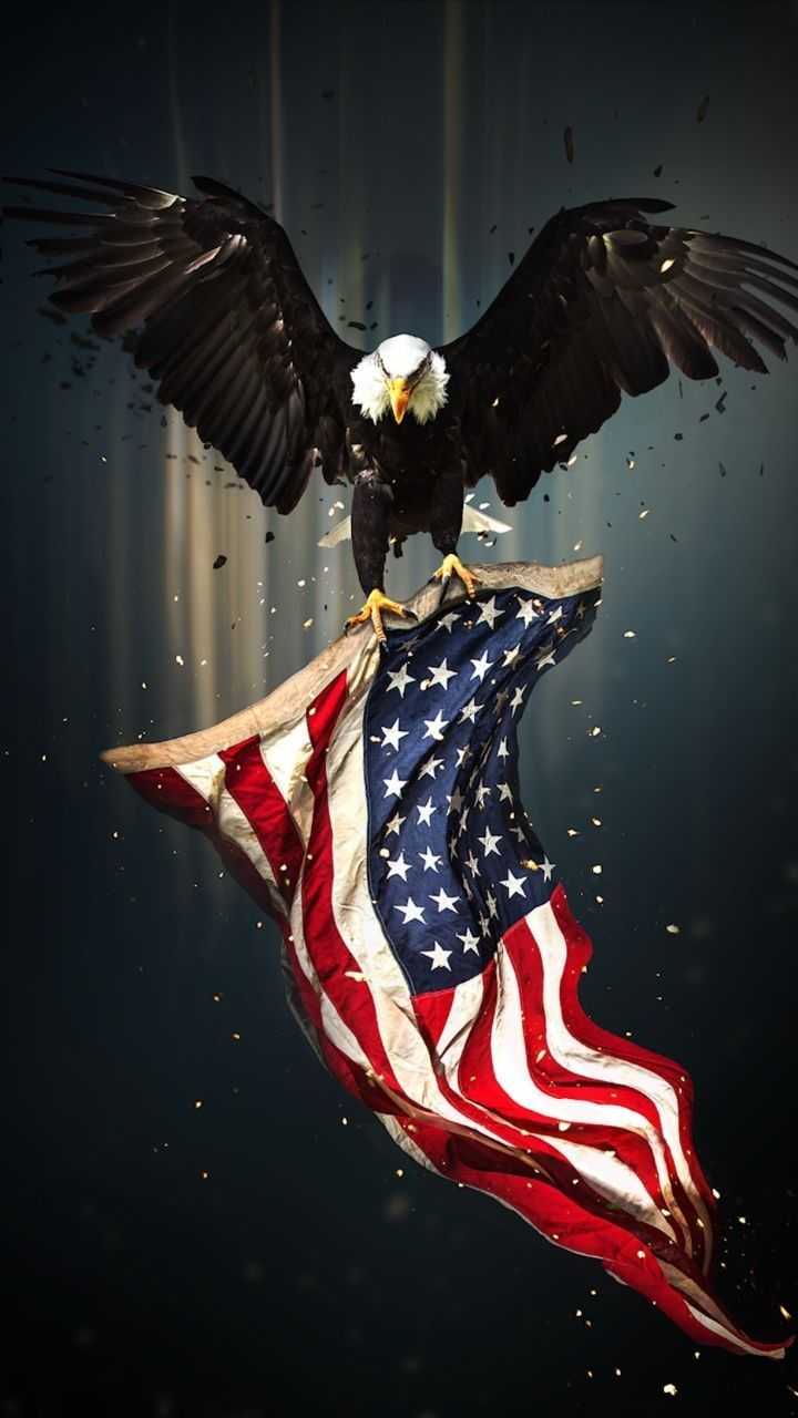 Patriot Wallpaper