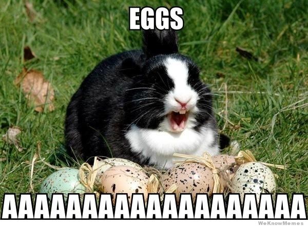 Here Are The Funniest Easter Memes Happy Everyone