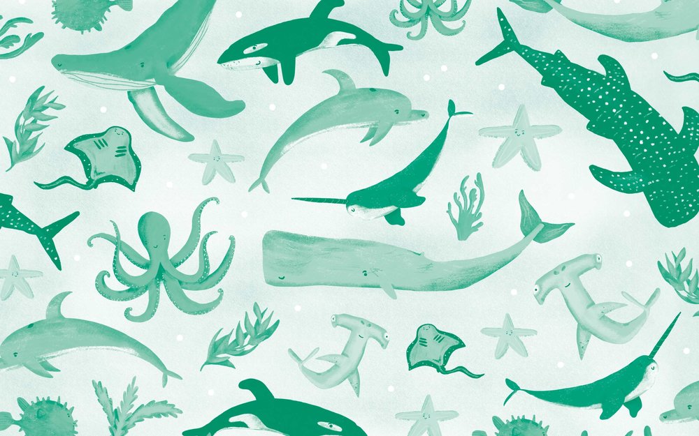 Wallpaper Of The Month June Ohh Deer