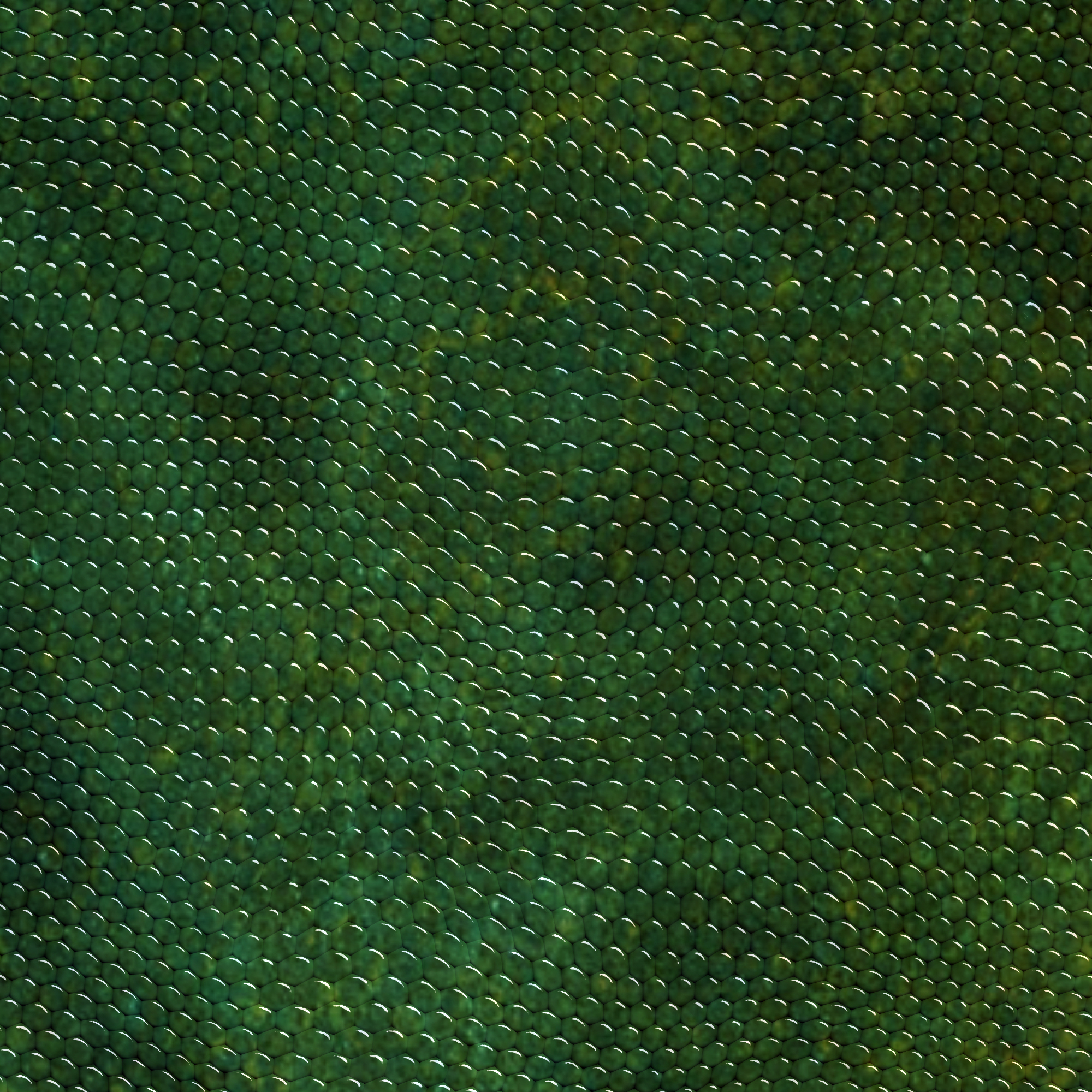 Snakeskin Texture Reptiles