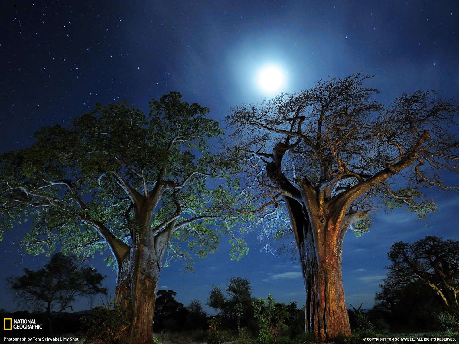  Photo Tanzania Wallpaper National Geographic Photo of the Day