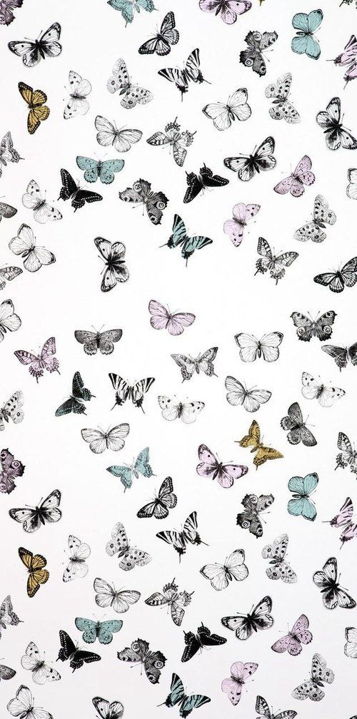 wallpaper butterfly and background image Sparkle wallpaper