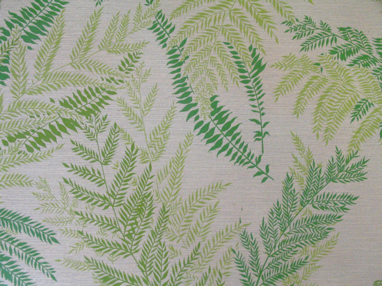 Vintage Fern Leaf Wallpaper Green Silhouette By Vintage73 On