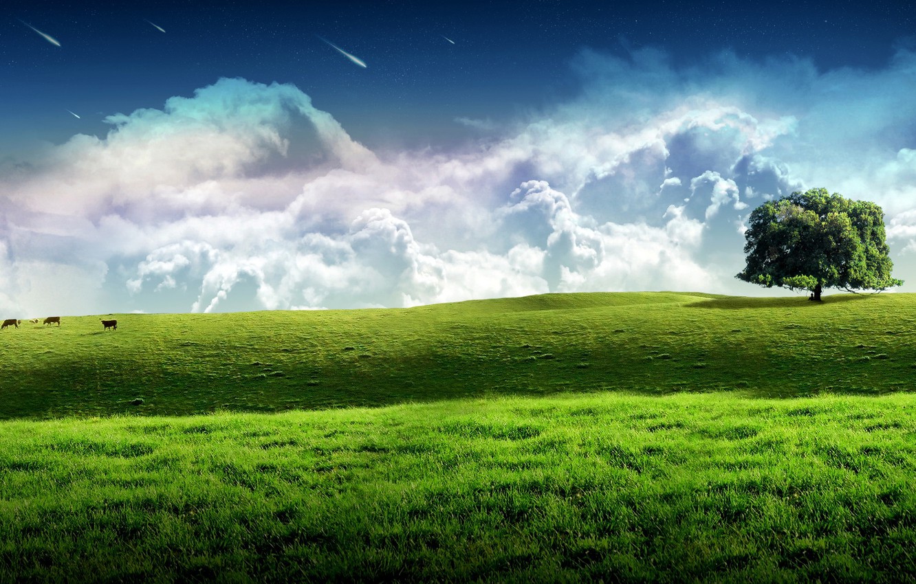 Wallpaper Sky Grass Green Landscape Tree Image For Desktop