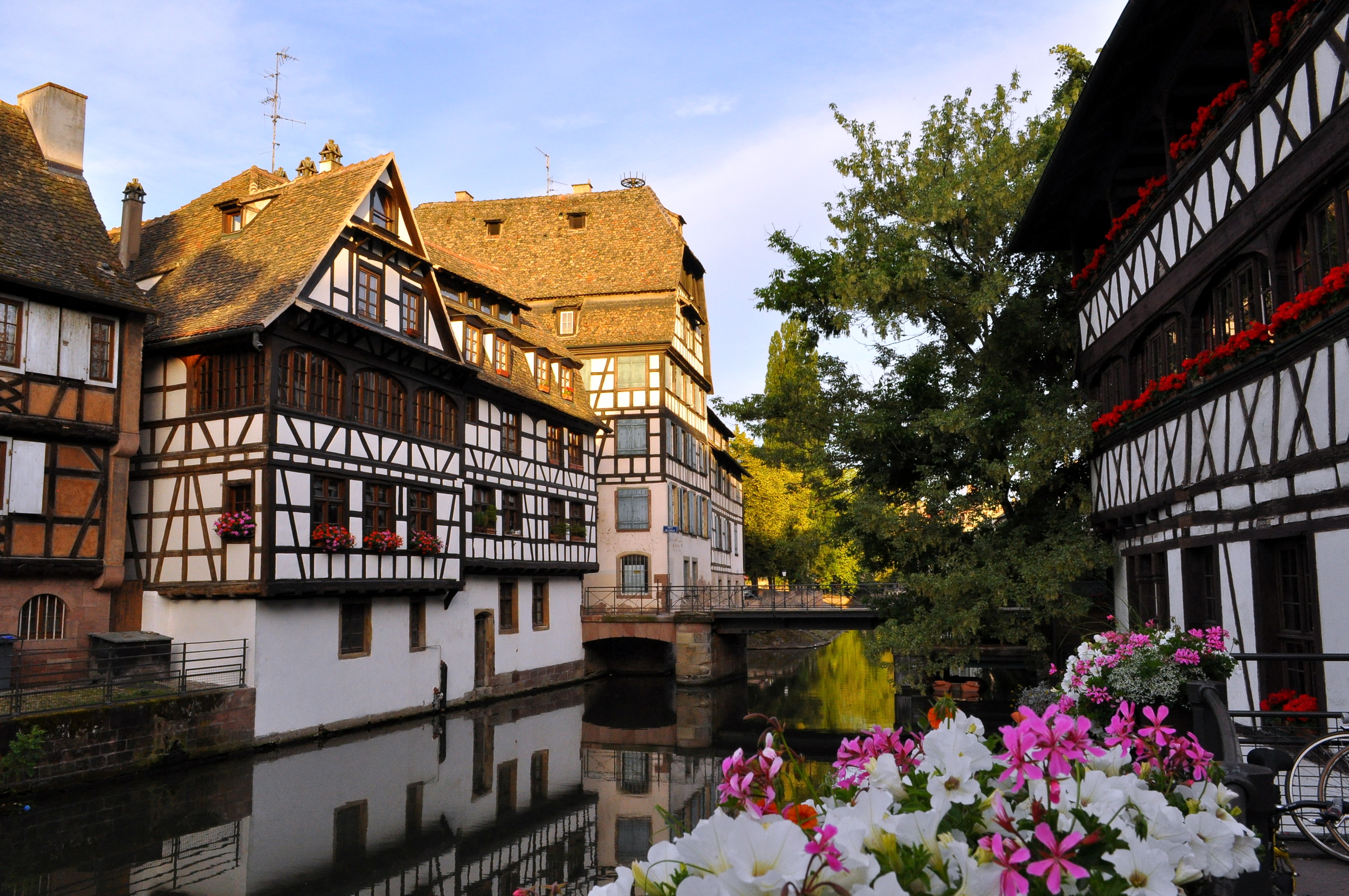 France Alsace HD Wallpaper Background Image Id
