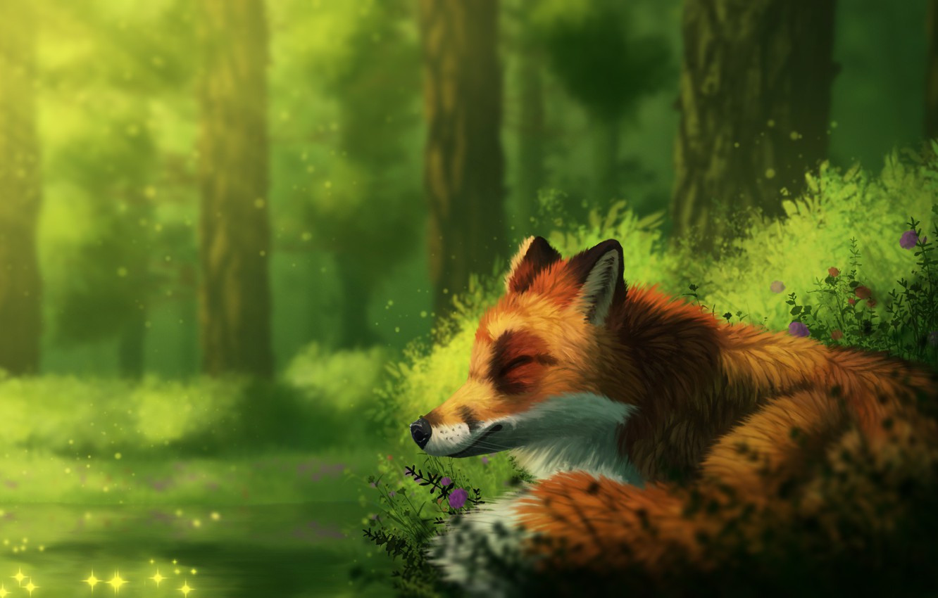 Wallpaper Forest Nature Fox Sleep By Creeperman0508 Image For