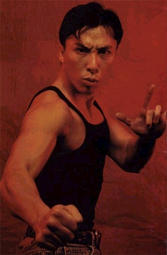 Free download Donnie Yen Wallpaper Actress Picture Wallbase Top [364x500]  for your Desktop, Mobile & Tablet | Explore 49+ Donnie Yen Wallpaper |  Donnie TMNT Wallpaper,