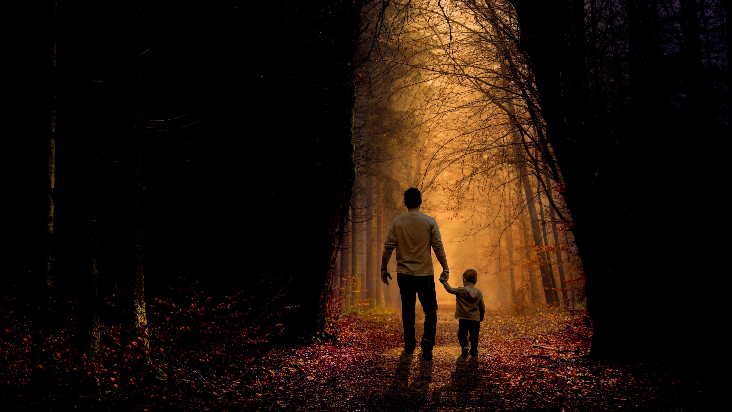 Wallpaper Father Son Family Child Forest