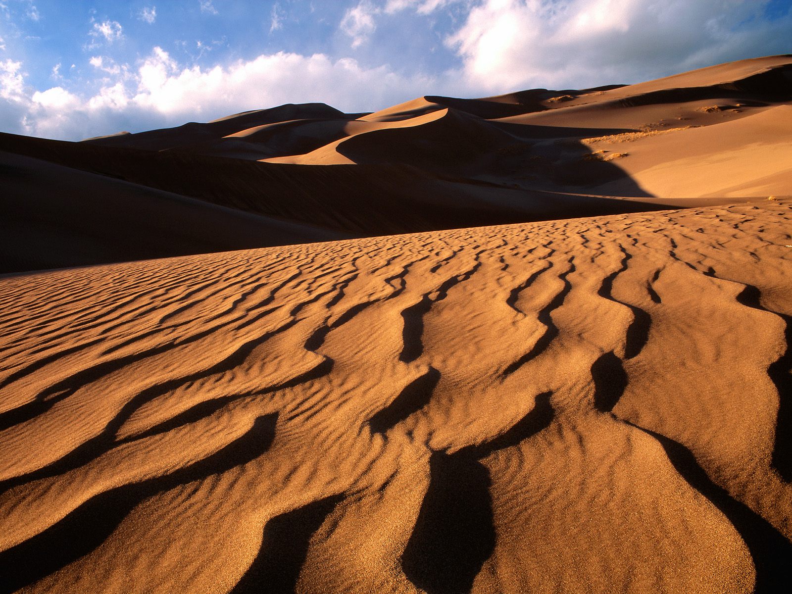 Colorado Photo Great Sand Dunes National Monument Wallpaper
