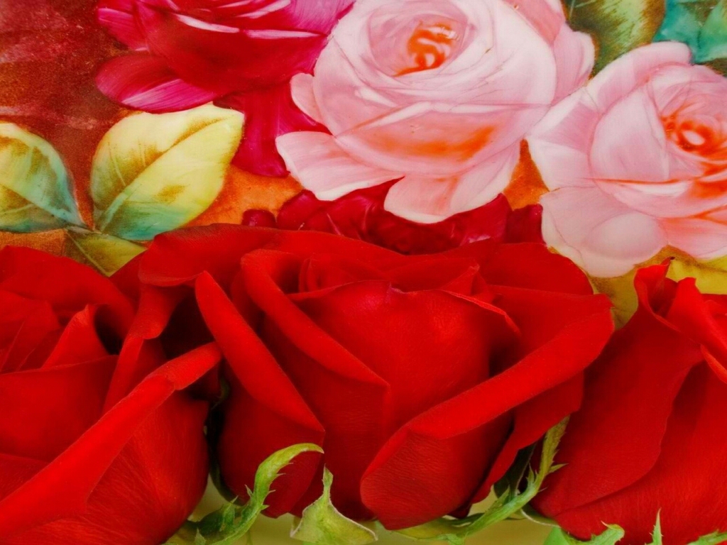 Flowers For Flower Lovers Beautiful Rose Wallpaper