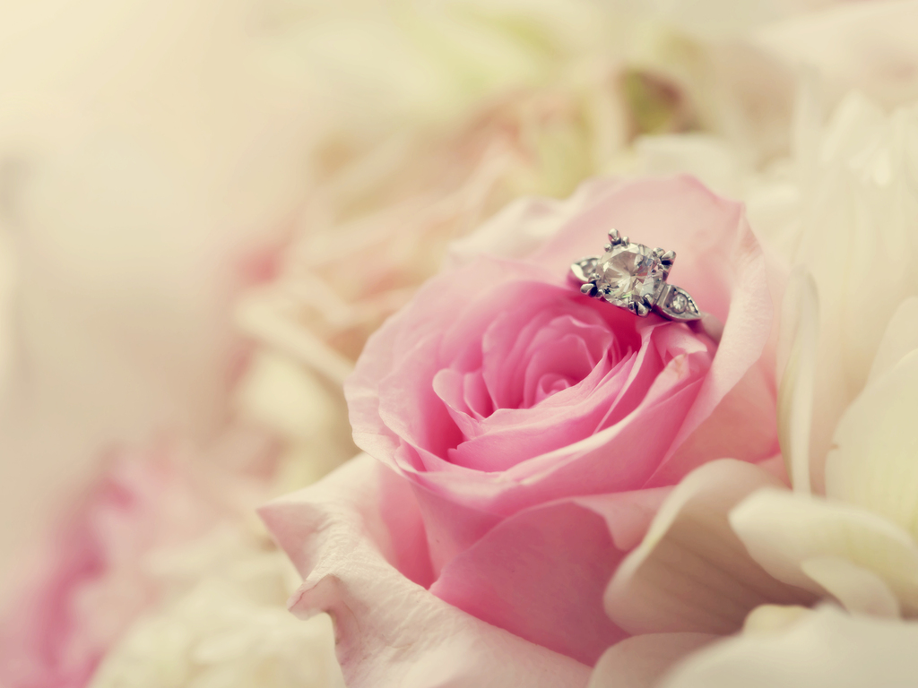 Will You Marry Me Wallpaper