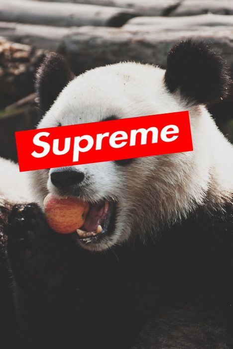 273 best Supreme Wallpapers images onIphone
