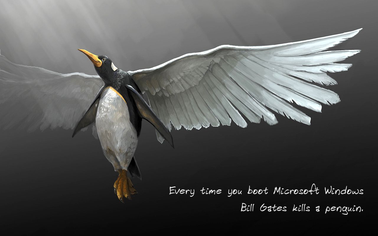 Tux Wallpaper Linux Art Penguins Wings Animals