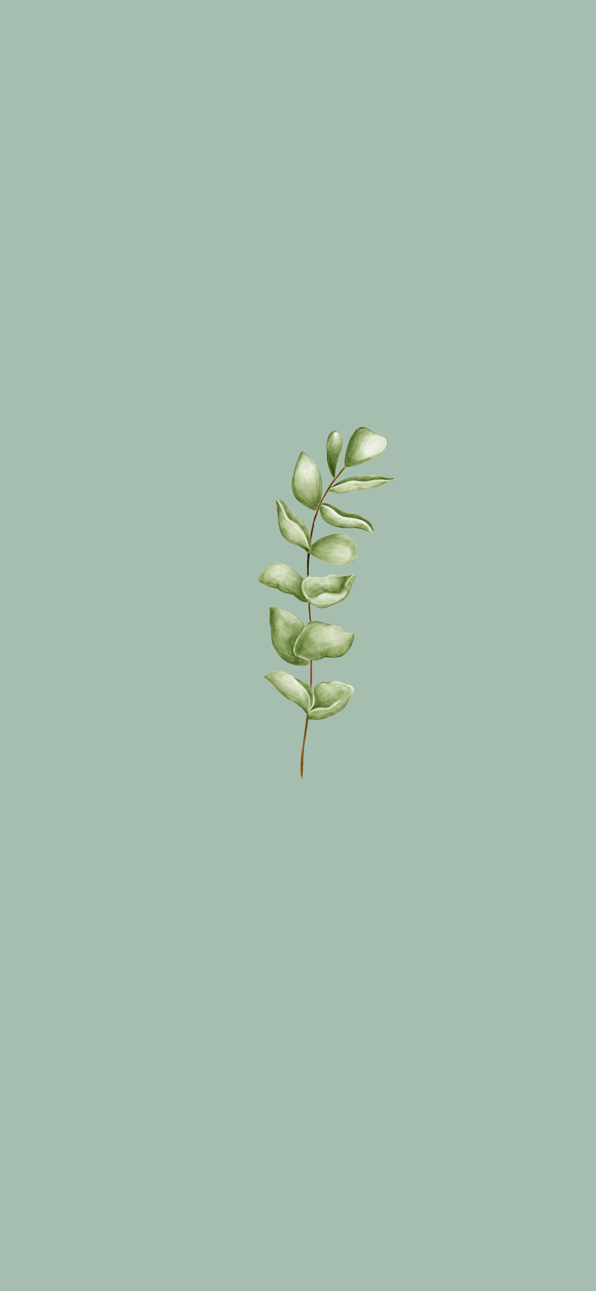 Sage Green Aesthetic Wallpaper