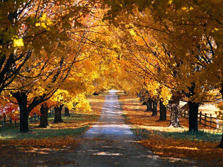Autumn Scenes Country Fall Original Updated On