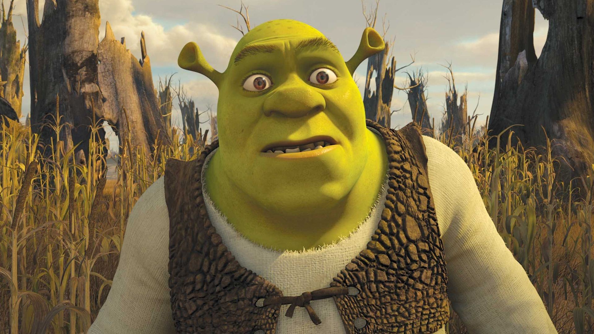 Shrek Forever After HD Wallpaper Background Image