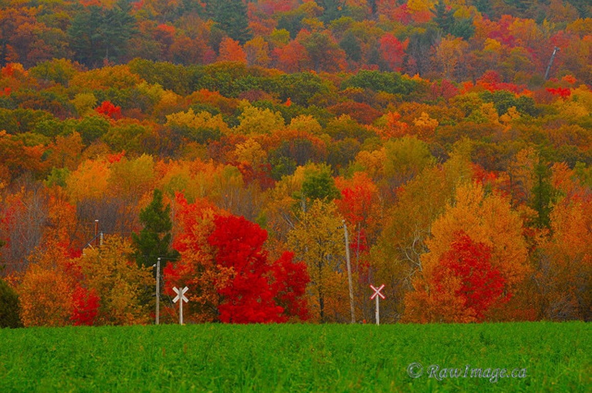 Beautiful Fall Landscape Autumn