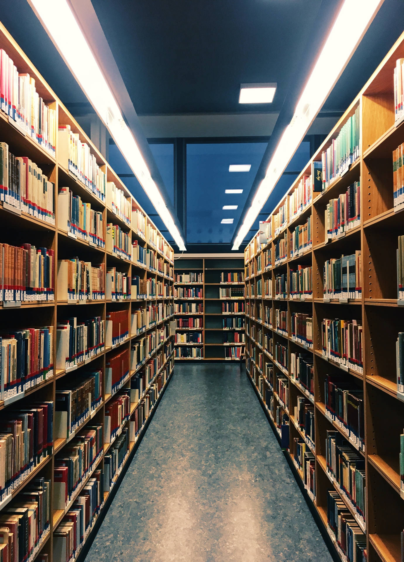 Library Wallpaper