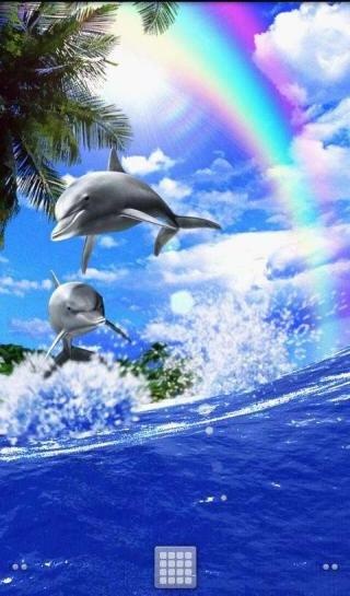 Animated Dolphins