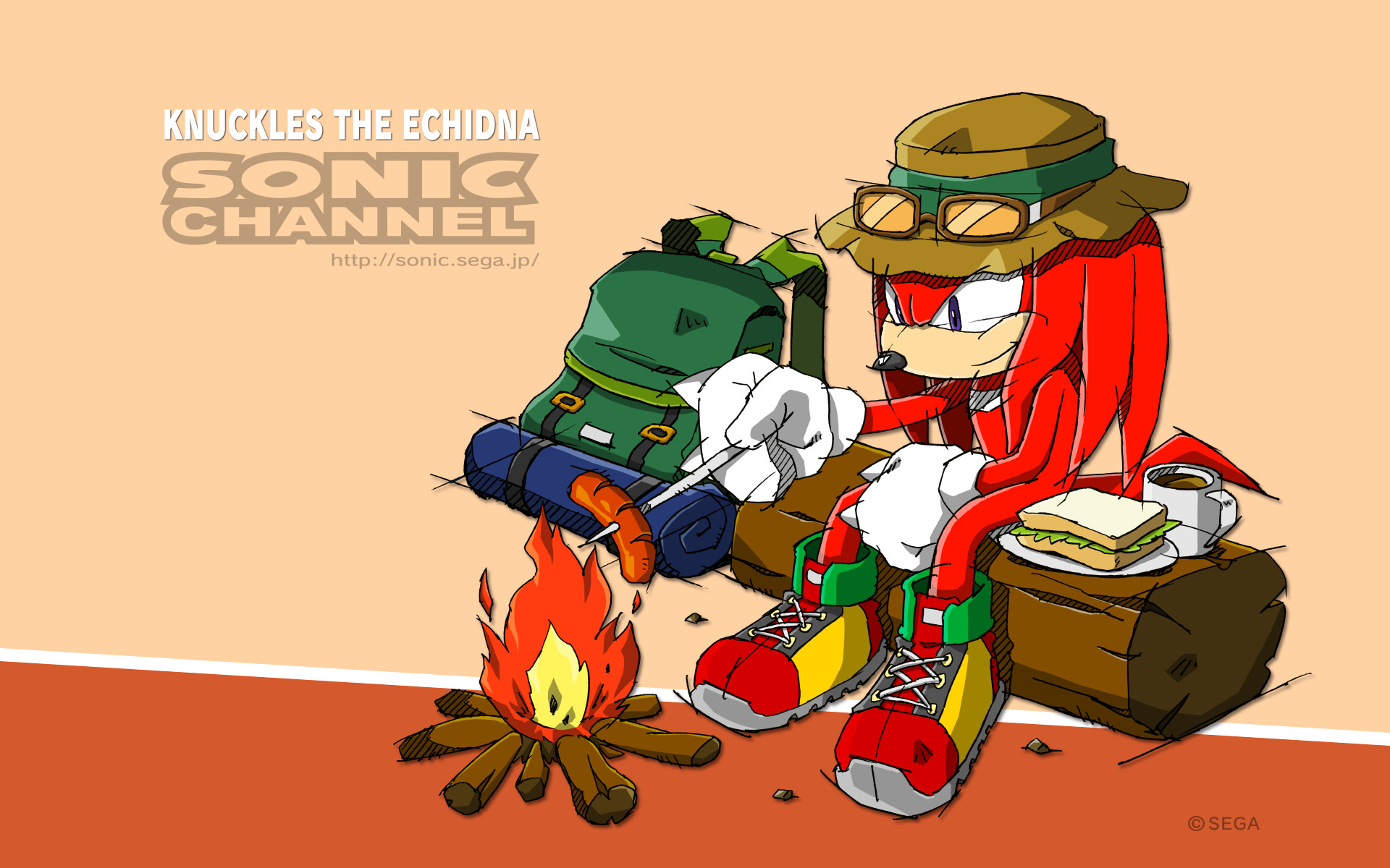 Knuckles The Echidna Wallpaper