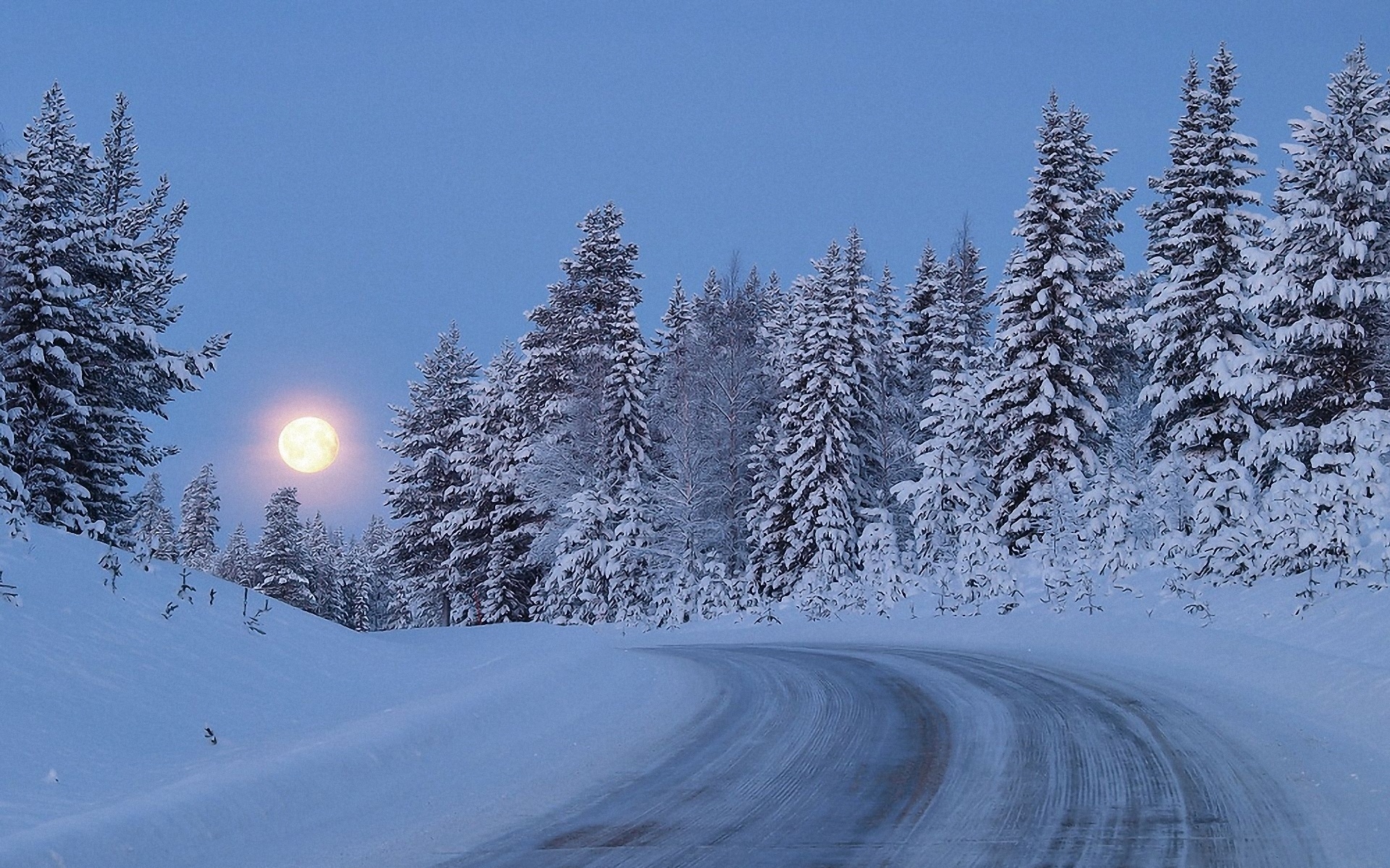 Snowy Forest Road Moon Night Wallpaper