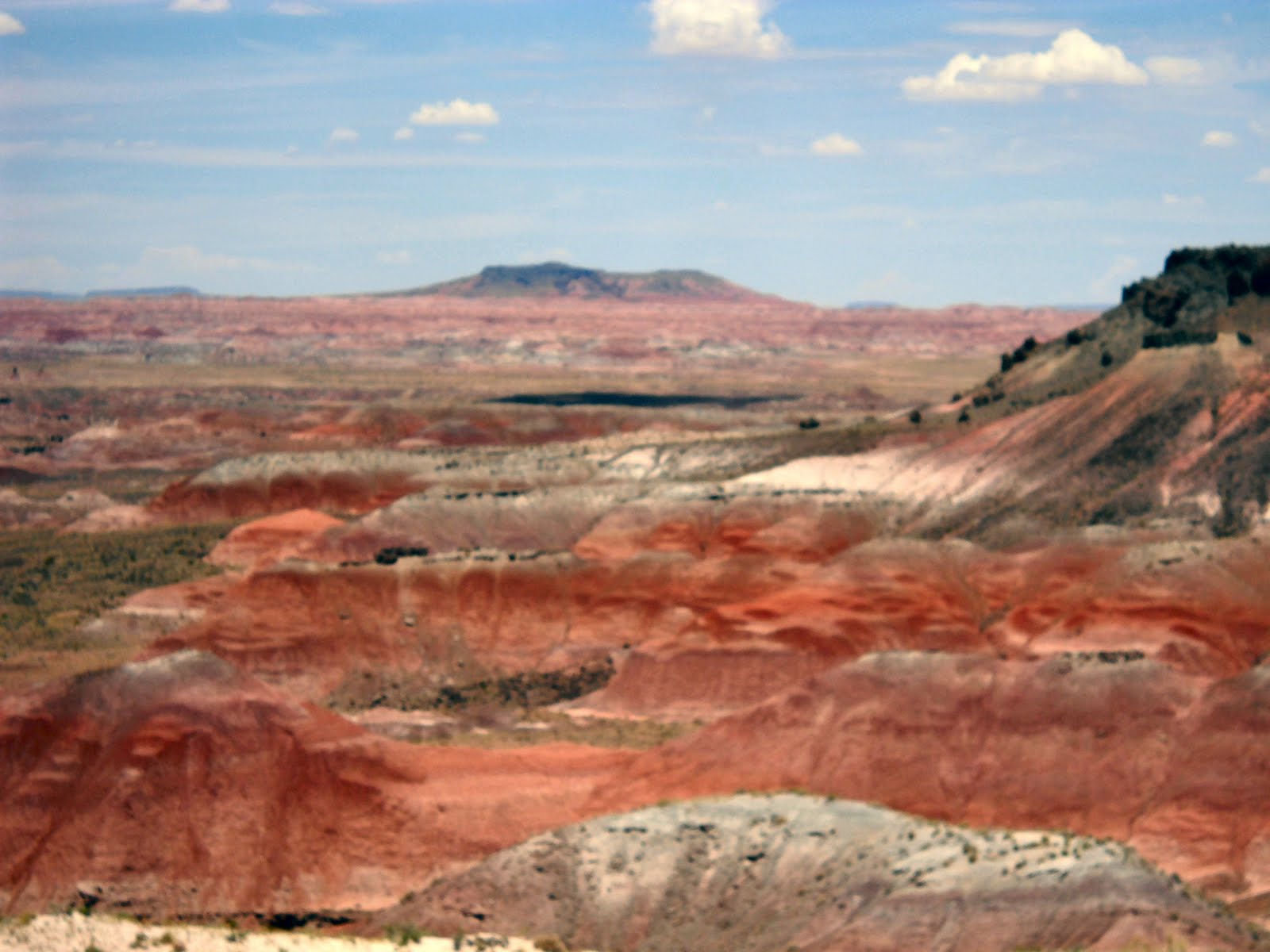 The colors in the painted desert were spectacular Even the tourist