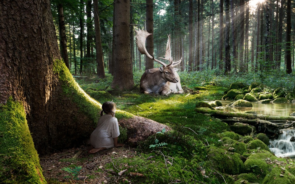 Desktop Wallpapers Deer Two Nature Forests Water Trees animal