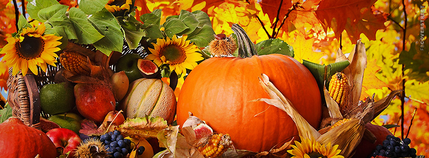 Fall Autumn Pumpkin Food Assortment Wallpaper