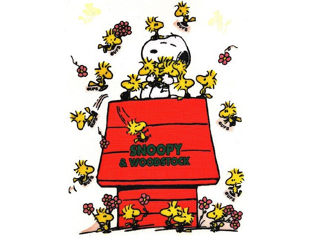 Free Download Snoopy Wallpaper Photos Snoopy Gang Charlie Brown Snoopy Snoopy 640x480 For Your Desktop Mobile Tablet Explore 50 Snoopy And Woodstock Wallpaper Snoopy Wallpaper Screensavers Free Snoopy Wallpaper