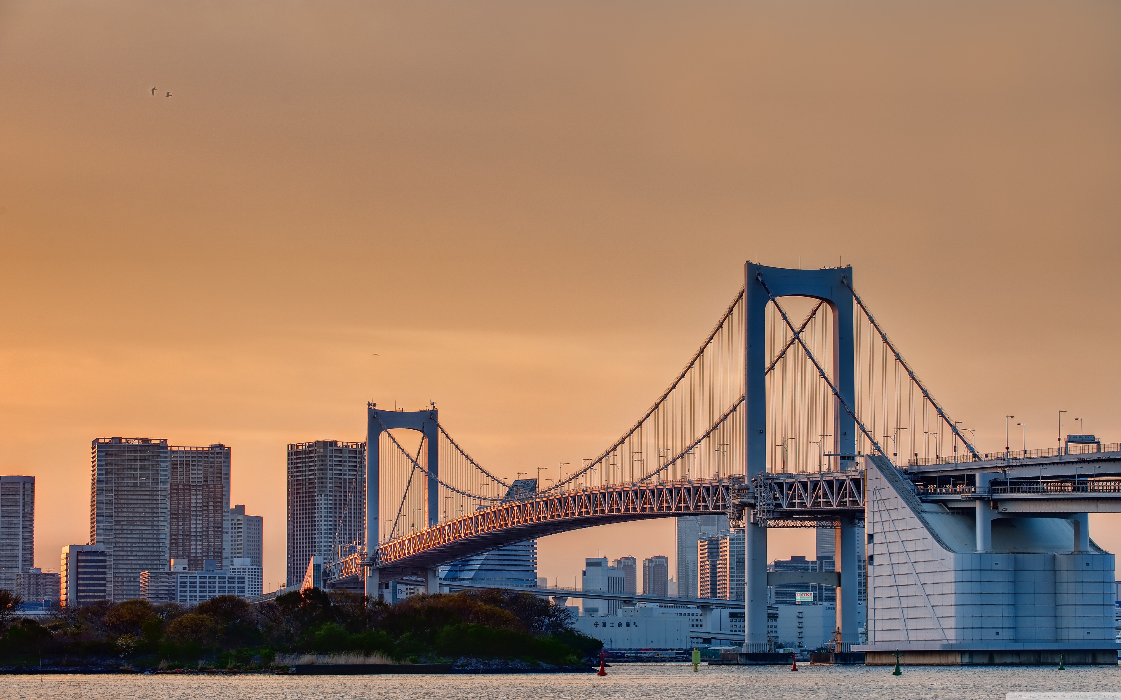 Odaiba Rainbow Bridge 4k HD Desktop Wallpaper For Ultra