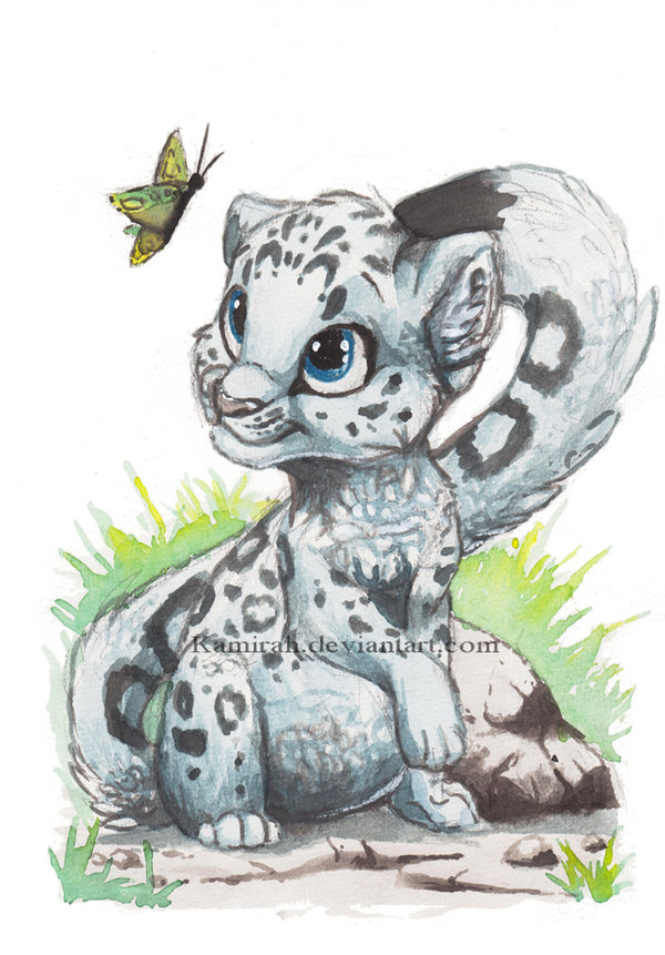 Baby Snow Leopard Drawing Cute