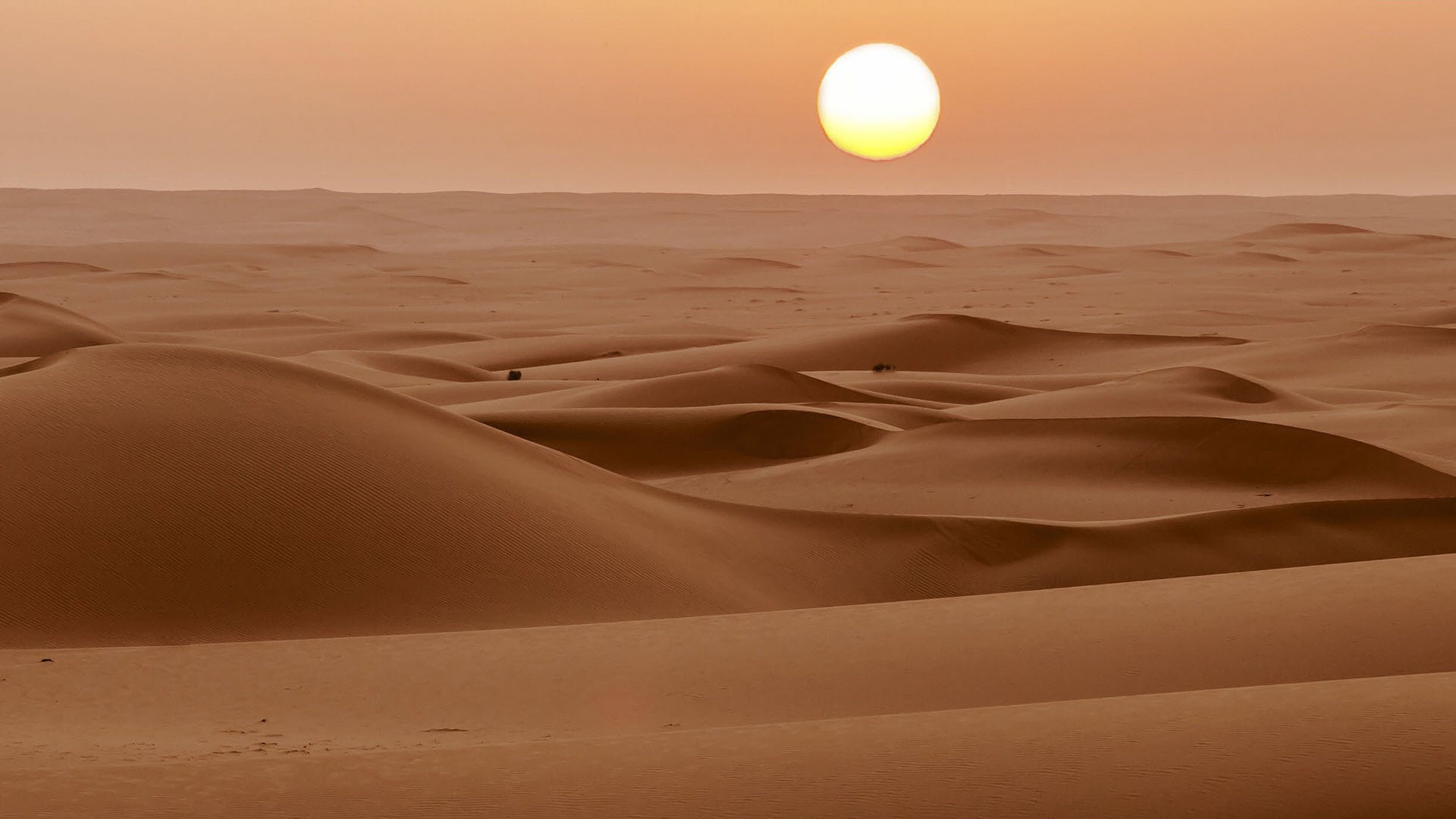 Desert Wallpaper
