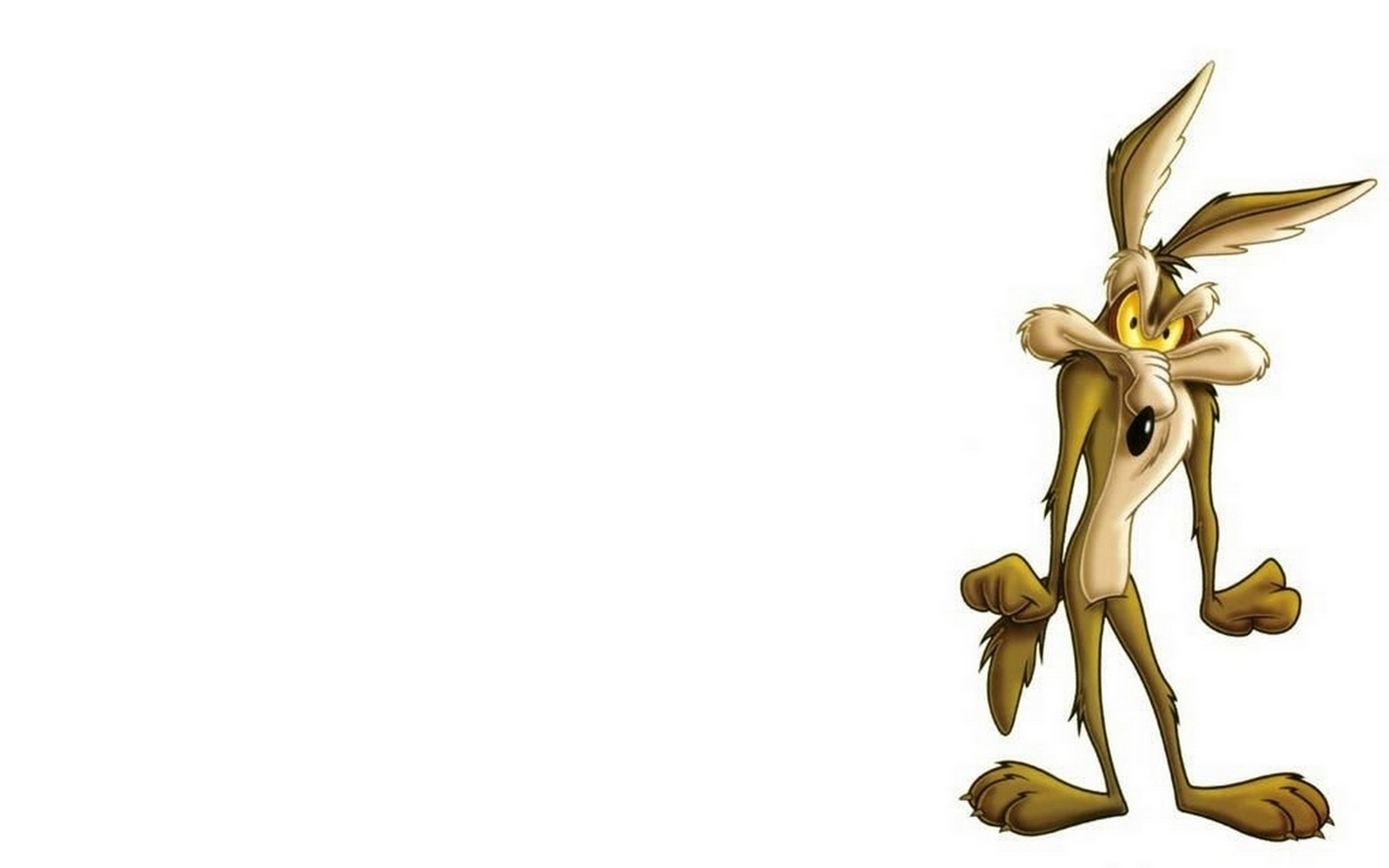 Pictures Cartoon Wallpaper HD Full Widescreen Image Coyote