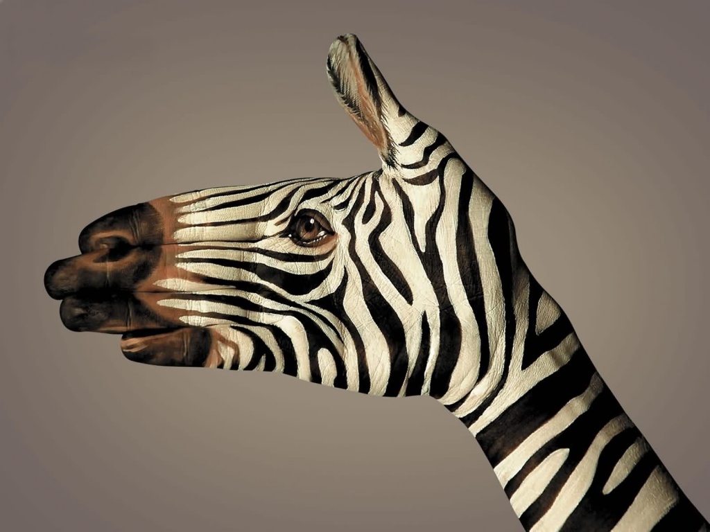 Body Painting Animals Wide Wallpaper Zebra On Hands Cool