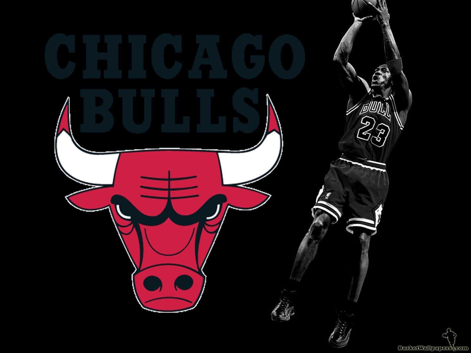 Chicago Bulls wallpaper For Android ImageBankbiz